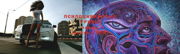 ПСИЛОЦИБИНОВЫЕ ГРИБЫ Богородицк